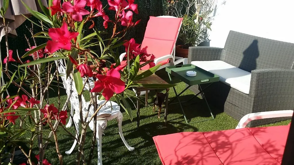 Alan Robert'S Hotel Cannes