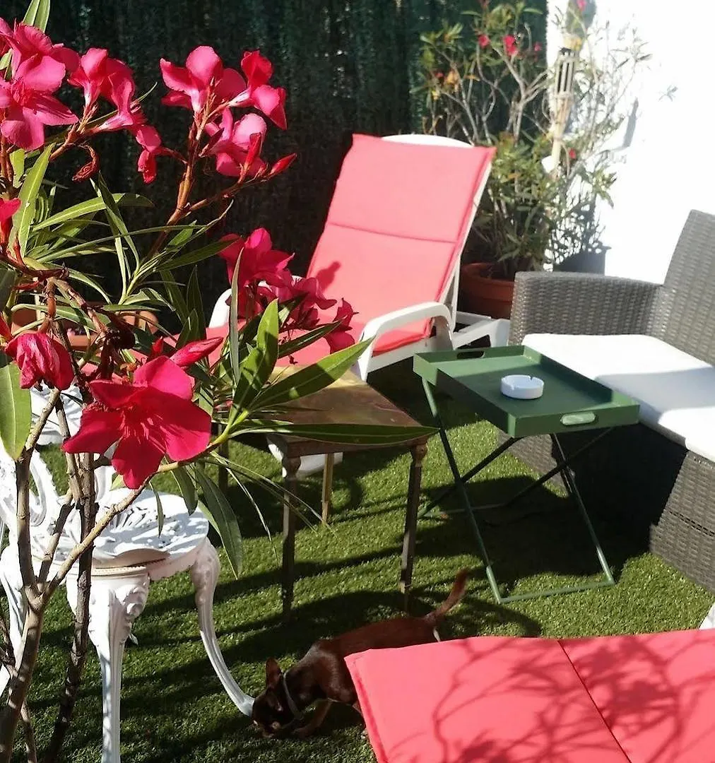 Hotel Alan Robert'S Cannes